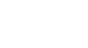 Agnes Scott College Logo