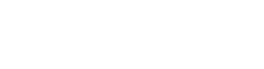 Emory Univerity Logo